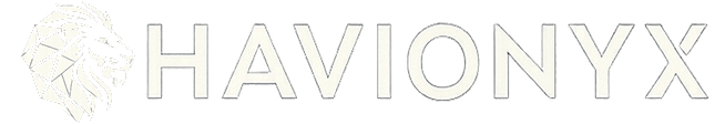 Havionyx Consultancy